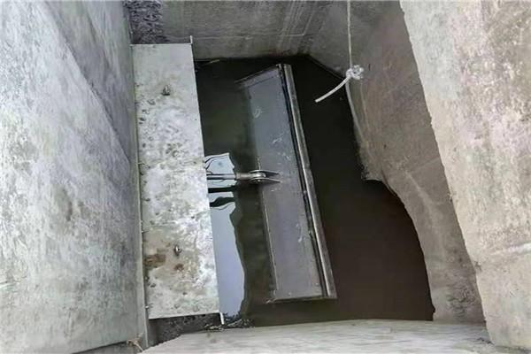 液動(dòng)旋轉(zhuǎn)堰門(mén)